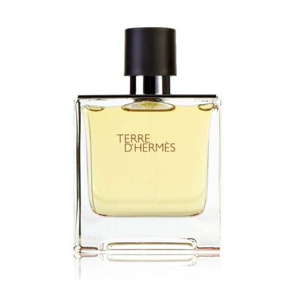 Nicole 809 EDP inšpirovaný Hermes Terre d'Hermes